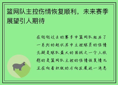 篮网队主控伤情恢复顺利,未来赛季展望引人期待