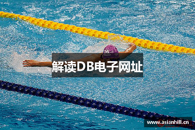 解读DB电子网址
